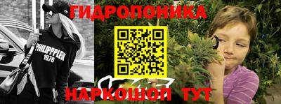 гидропоника Будённовск