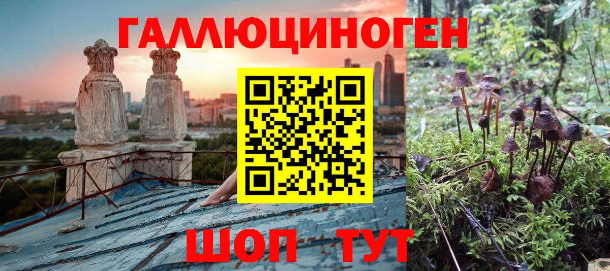 Галлюциногенные грибы GOLDEN TEACHER Клин